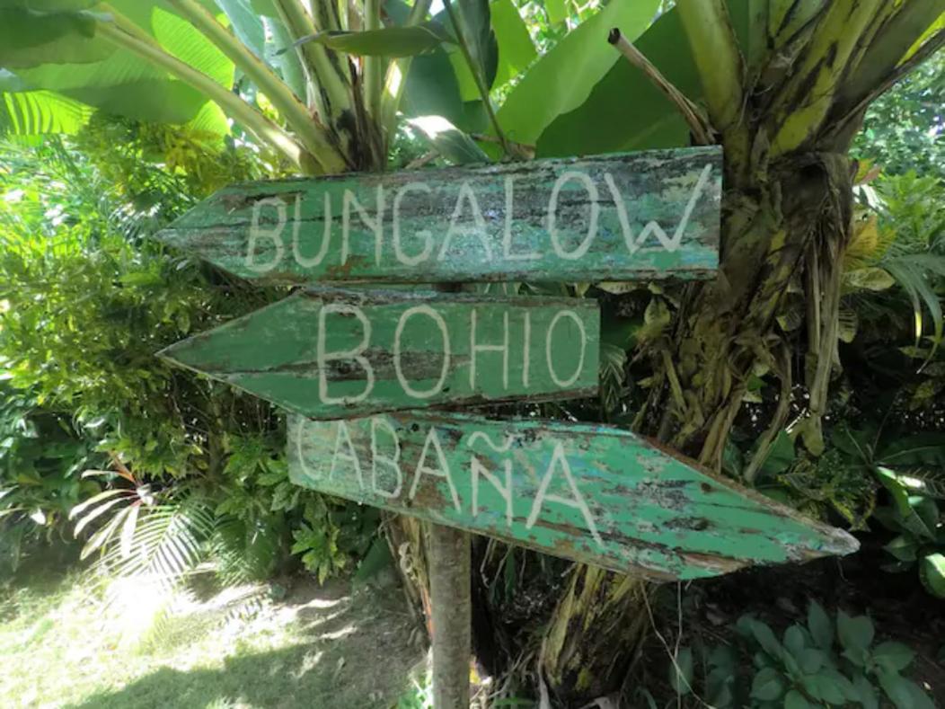 Dream Glamping Jungle Bohio Las Terrenas Exterior foto