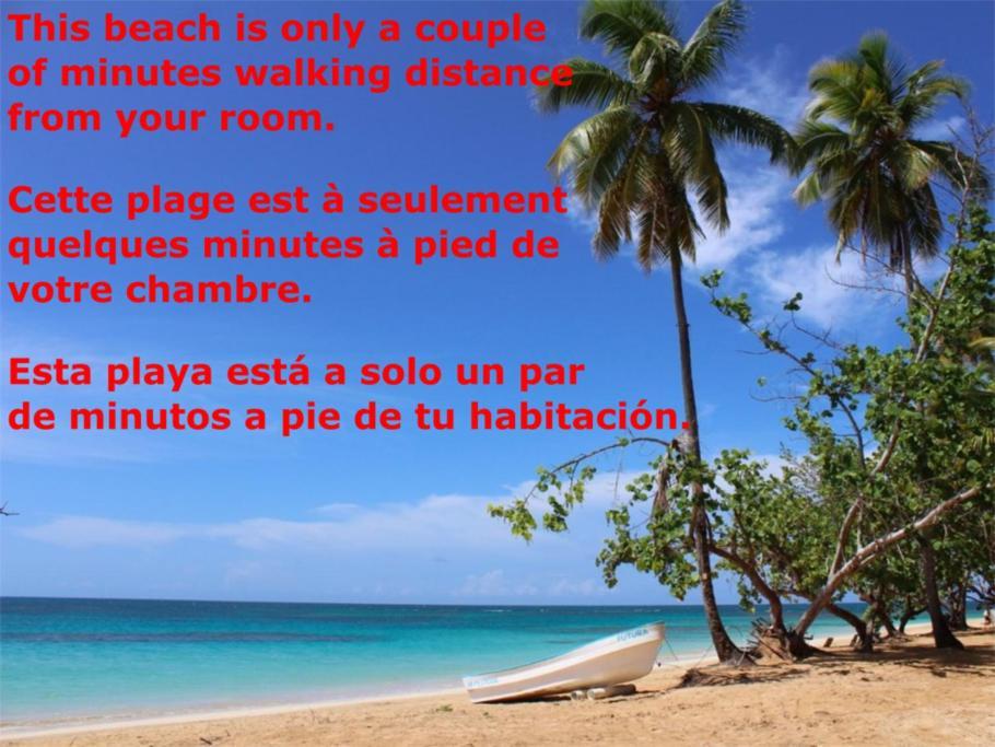 Dream Glamping Jungle Bohio Las Terrenas Exterior foto