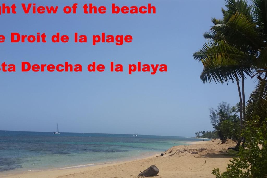 Dream Glamping Jungle Bohio Las Terrenas Exterior foto