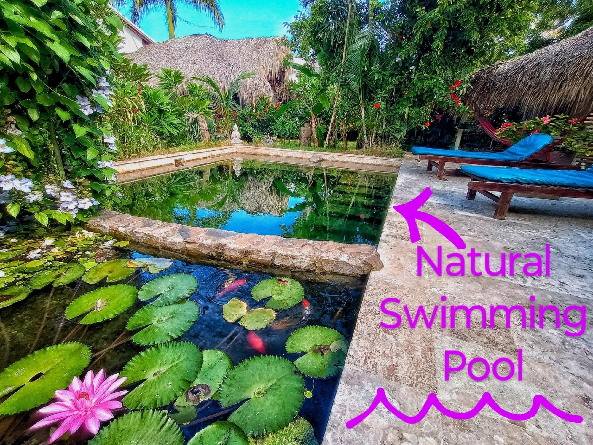 Dream Glamping Jungle Bohio Las Terrenas Exterior foto