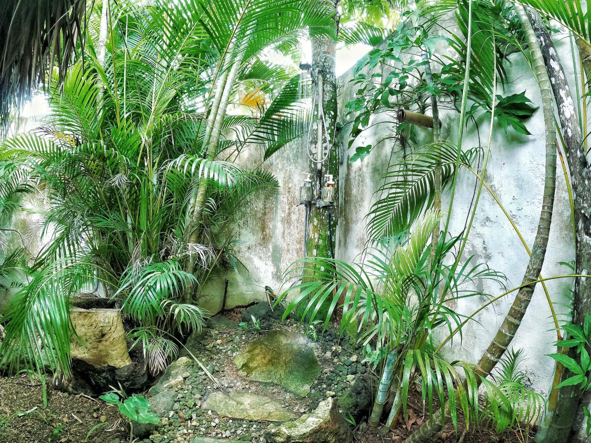 Dream Glamping Jungle Bohio Las Terrenas Exterior foto