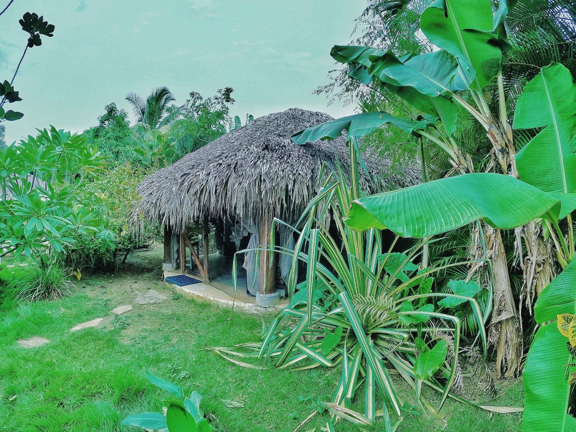 Dream Glamping Jungle Bohio Las Terrenas Exterior foto