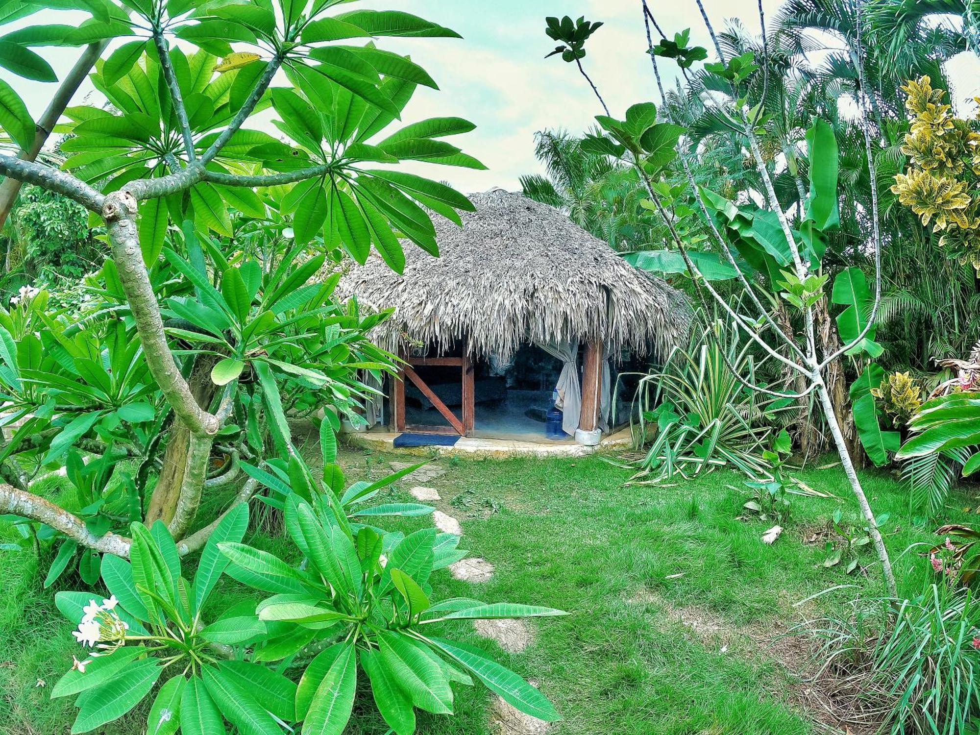 Dream Glamping Jungle Bohio Las Terrenas Exterior foto