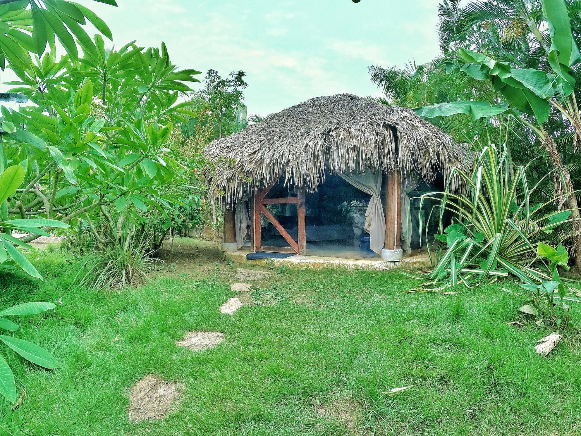 Dream Glamping Jungle Bohio Las Terrenas Exterior foto